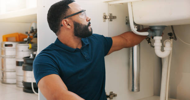 Best Garbage Disposal Repair and Installation  in Park Layne, OH